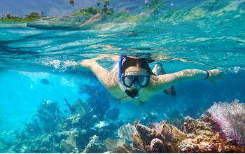 Drift Snorkeling & Secluded Beach Escape- Cozumel, Mexico